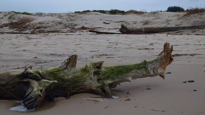 Ferienhaus für 5 Personen, mit Terrasse in Tversted - 2