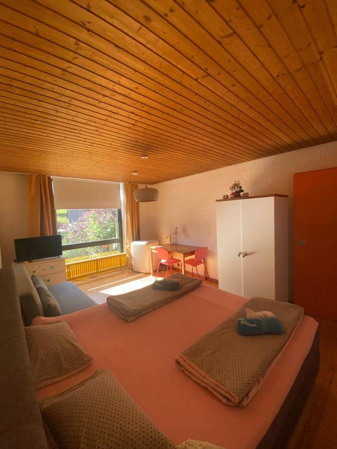 Vakantieappartement voor 4 personen, with terras and tuin as well as uitzicht, met huisdier in Heidelberg