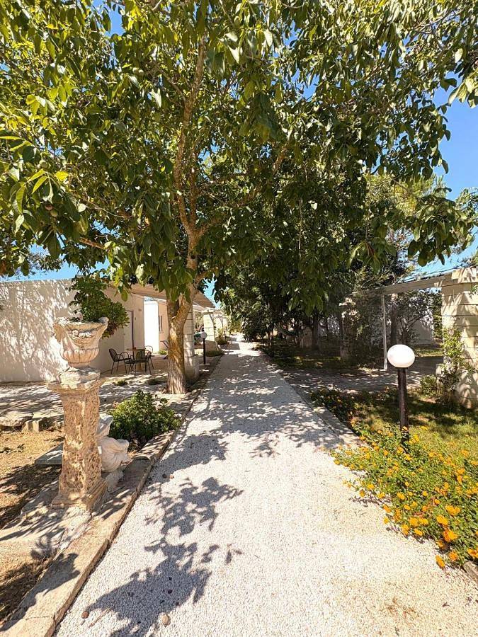 Agriturismo Tenuta la Monaca in Aradeo, Lecce Provinz