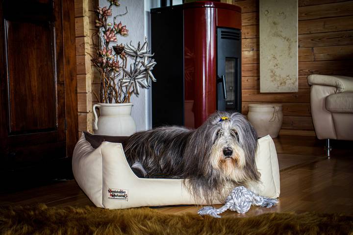 Ferienhaus für 4 Personen, mit Ausblick und Garten, mit Haustier in Niederbayern - 2