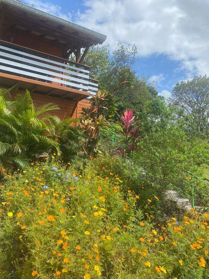 Location de vacances pour 2 personnes, avec jardin et vue dans Plage de Grande Anse