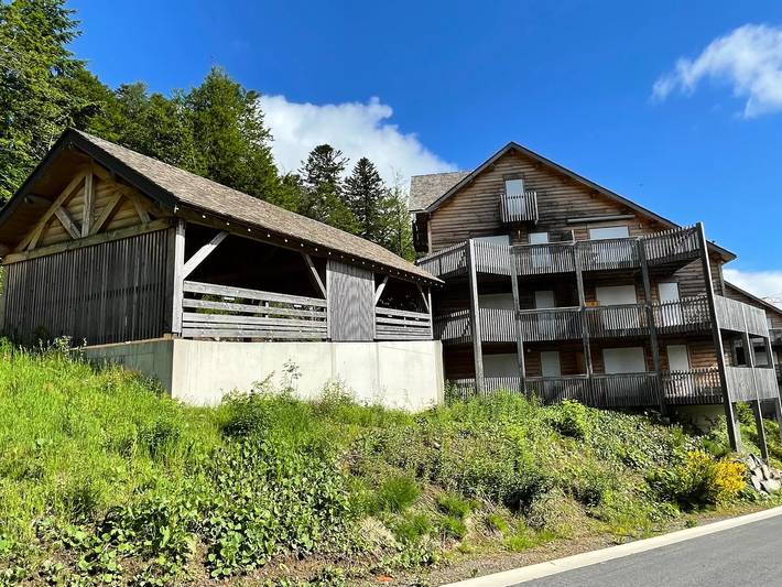 Gîte pour 10 personnes, avec terrasse à Laveissière - 2