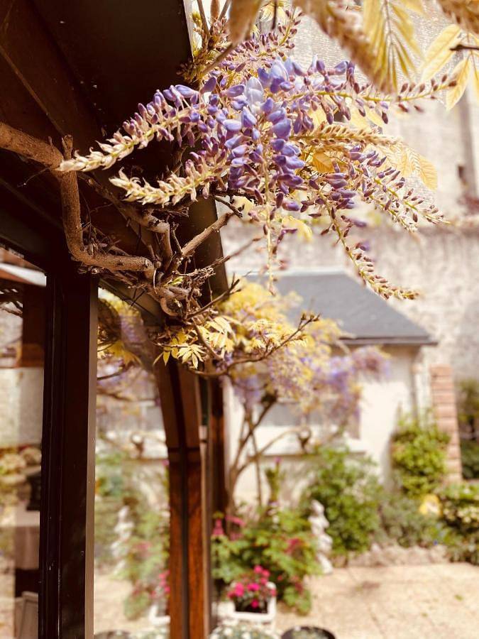 Hotel de la Sologne in Beaugency, Vallée de la Loire