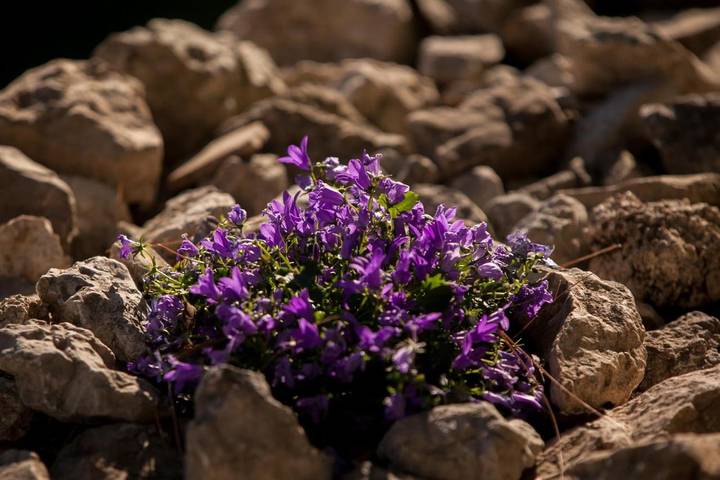 Ferienhaus für 4 Personen, mit Ausblick und Garten in Makarska - 3
