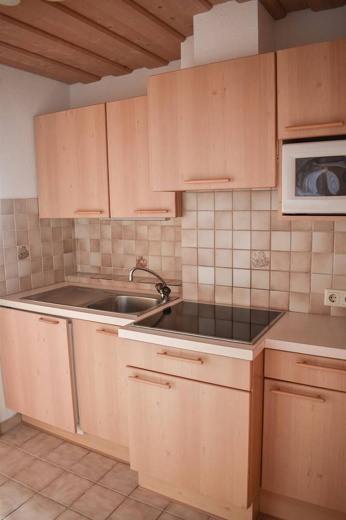 Ganze Ferienwohnung, Apartment 2/Wohn-Schlafraum/Dusche, Wc in Galtür, Verwall