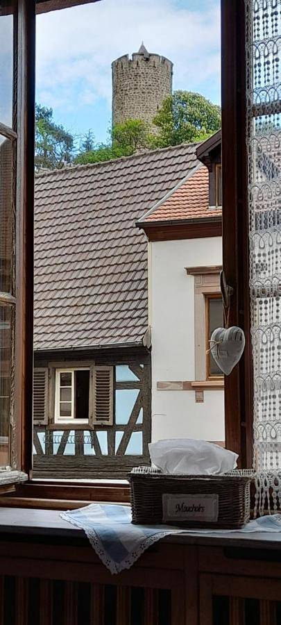 Gîte pour 2 personnes, avec vue à Kaysersberg - 2