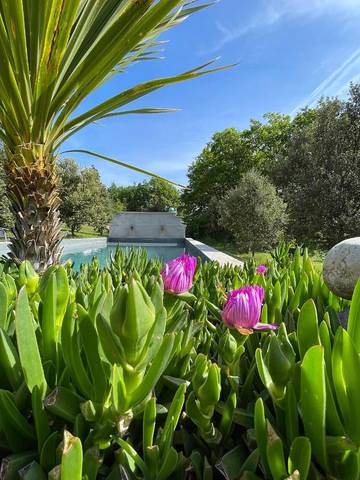 Gîte pour 4 personnes, avec jardin ainsi que piscine et vue à Puimoisson