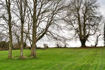 Villa for 6 People in South West England, The Cotswolds, Photo 4