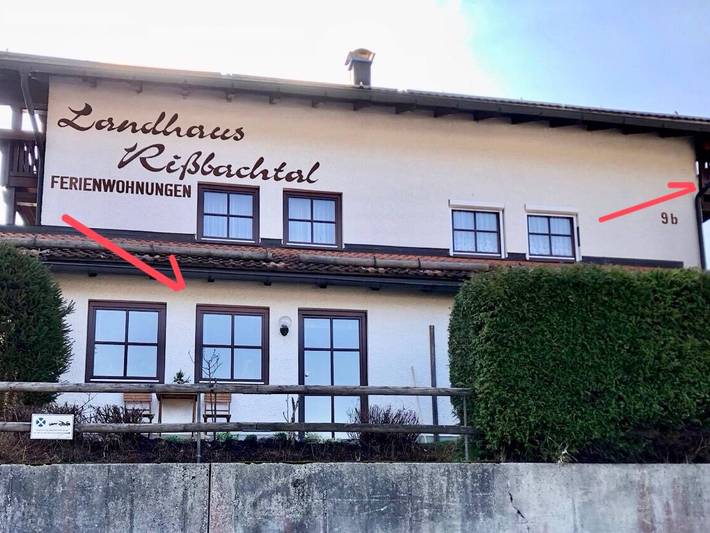 Arberflimmern