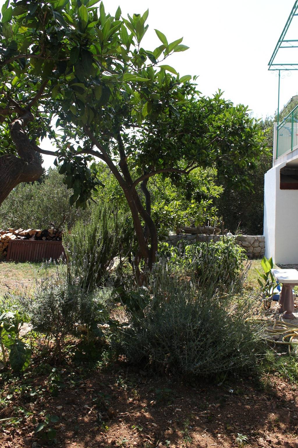 Entire apartment, One bedroom apartment with balcony and sea view Gradac, Makarska A-6819-a in Gradac, Makarska Riviera