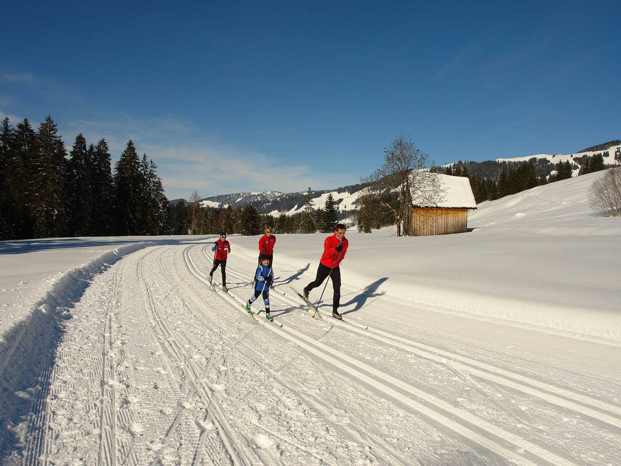 Ferienhof Eberle - Ferienwohnung Winterstaude in Hittisau, Bregenzerwald