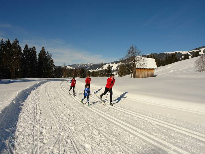 Ferienhof Eberle - Ferienwohnung Winterstaude in Bregenzerwald (Vorarlberg), Hittisau