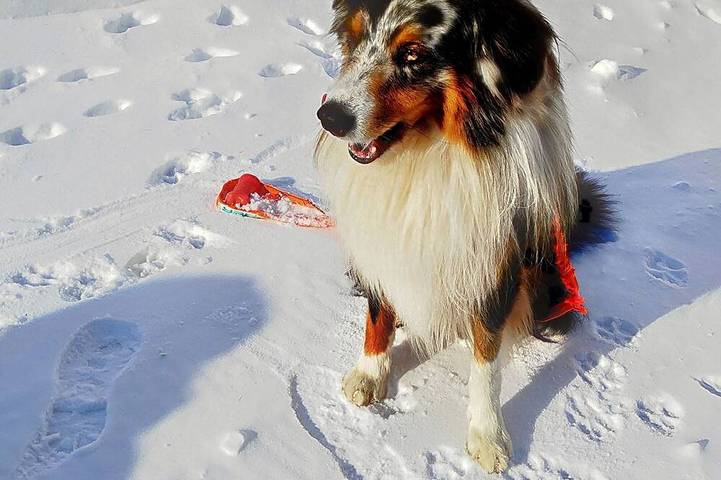 Gîte pour 6 personnes dans Passo Del Tonale