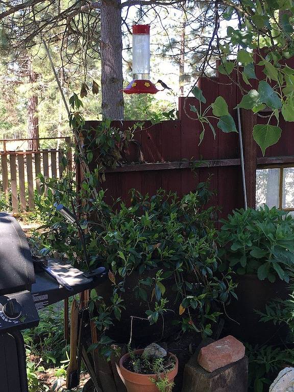 Blockhütte für 5 Personen, mit Garten - 1