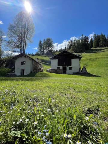 Hütte für 2 Personen in Lohn (GR), Lepontinische Alpen, Bild 3