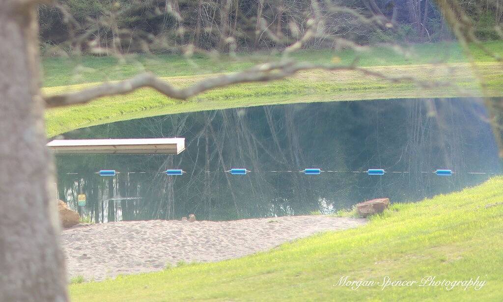 Beginnen Sie Ihr nächstes Abenteuer mit Pine Creek Villas: Birds Nest Retreat! in Hocking Hills