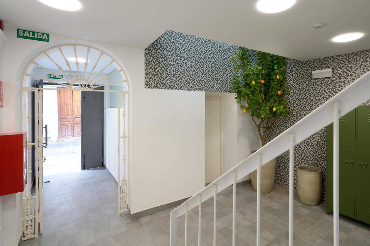 Naranjas y Limones Sevilla, by Homing U in Casco Antiguo, Sevilla