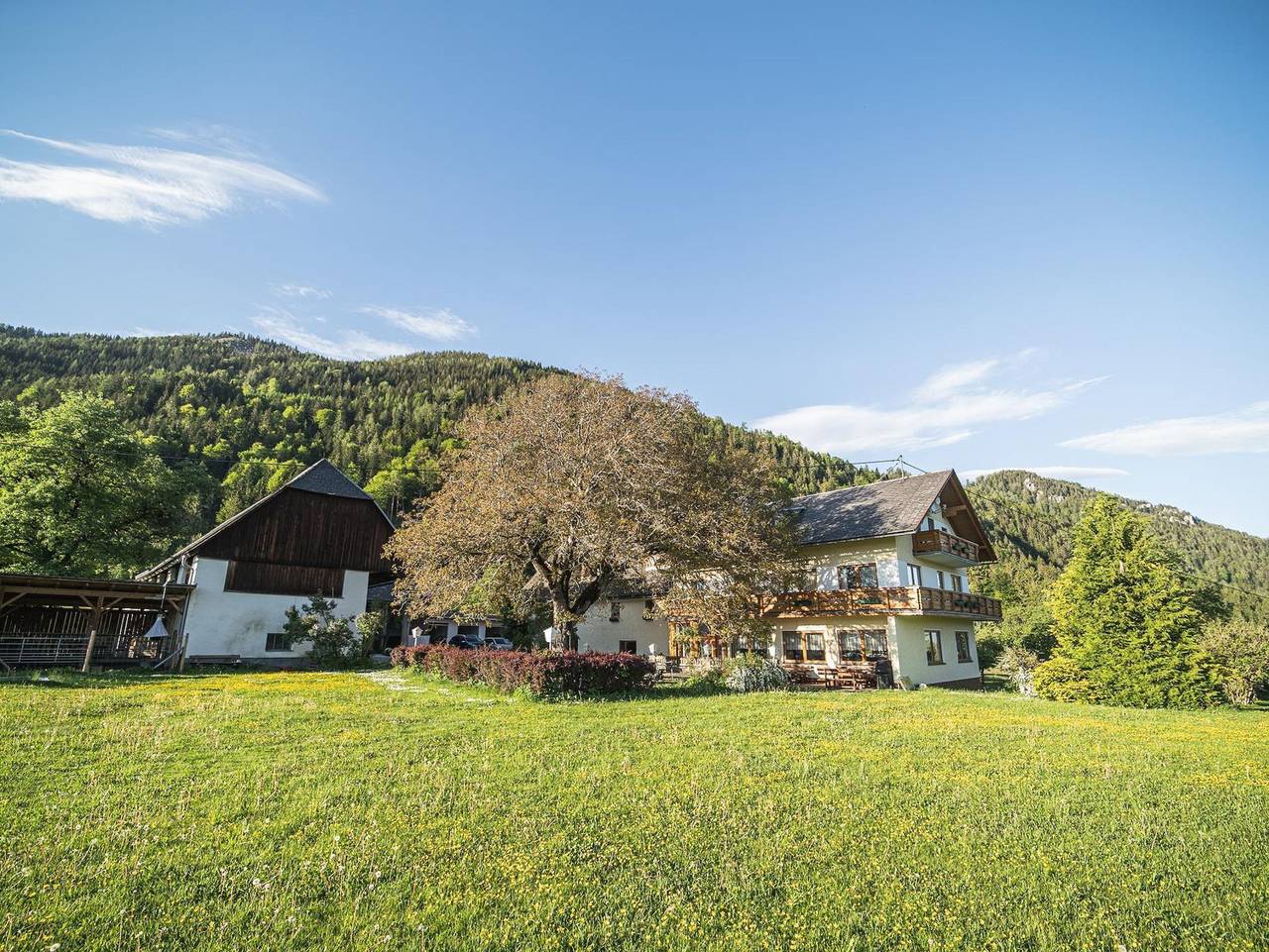 Pension Lindbichler - Dreibettzimmer, Dusche/Bad, Wc (15,16,25,26) in Vorderstoder, Totes Gebirge