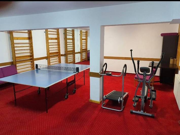 Hôtel pour 5 personnes, avec balcon et vue à Sinaia - 4