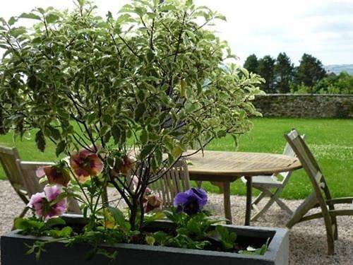 Gîte pour 2 personnes, avec vue ainsi que terrasse et jardin à Caumont-l'Éventé - 4