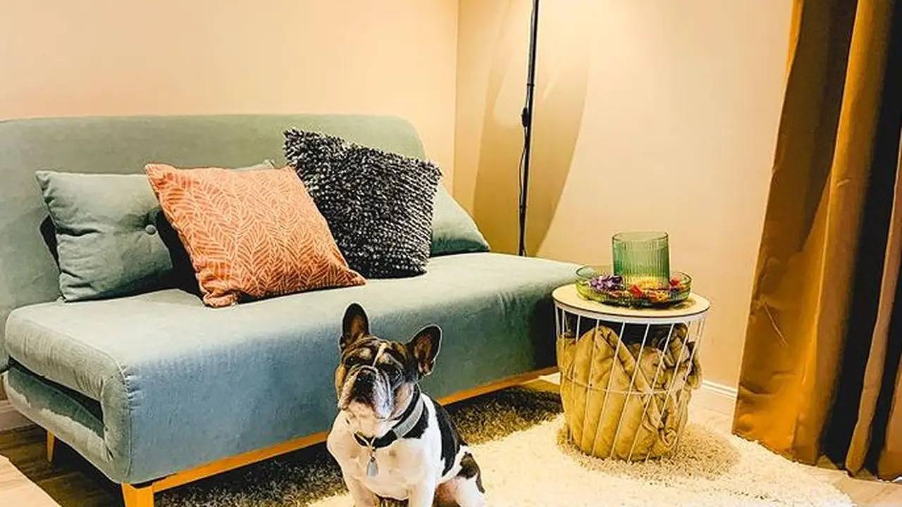 Ganze Ferienwohnung, Ferienwohnung für 3 Personen (33 m²) in Langenau in Langenau, Alb-Donau-Kreis