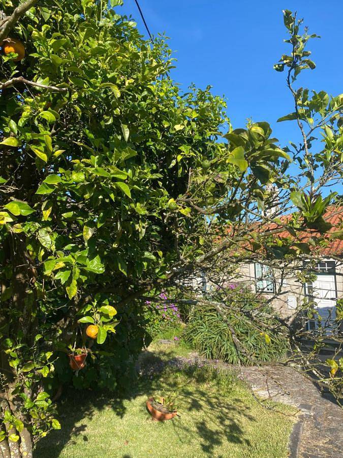 Location de vacances pour 9 personnes, avec jardin, animaux acceptés à Vila Praia de Ancora - 3