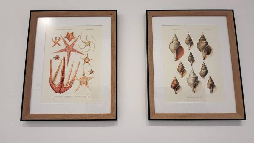 Gîte pour 2 personnes, avec vue et jardin dans Saint-Énogat - 3