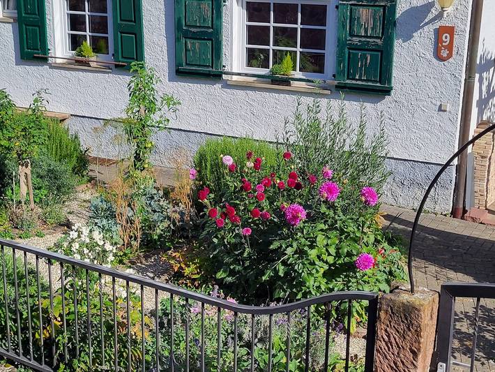 Ferienwohnung für 4 Personen, mit Balkon in Südliche Weinstraße - 4