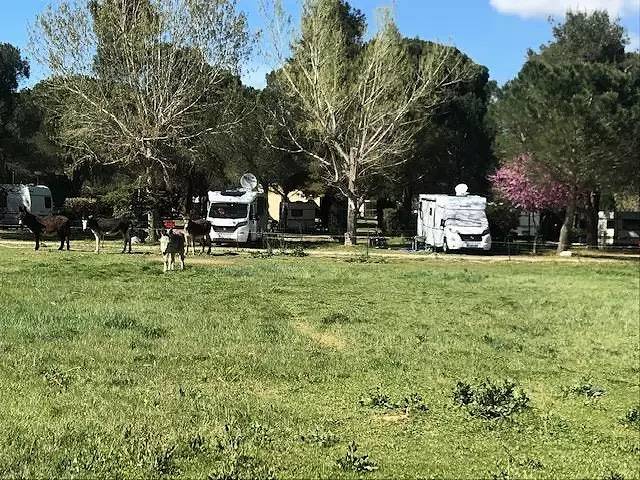 Chalet pour 5 personnes, avec Terrasse et Piscine dans les Pyrénées-Orientales - 4
