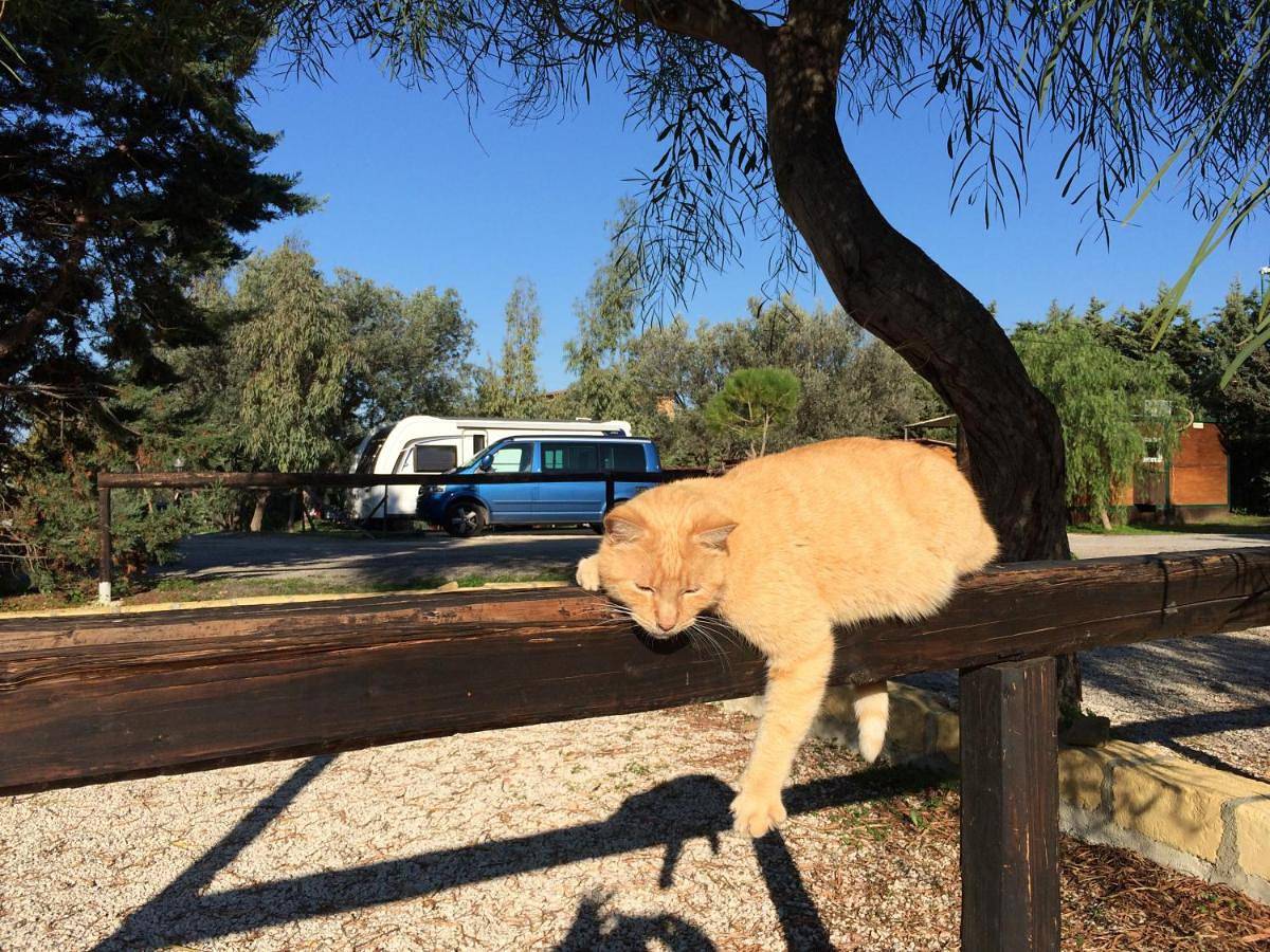 Camping Valle dei Templi in Villaggio Peruzzo, Agrigento