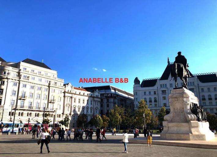 Chambre d’hôte pour 4 personnes, avec terrasse, animaux acceptés à Budapest - 2