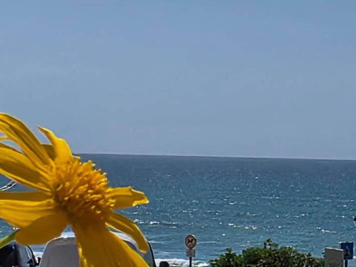 Casa de férias para 4 pessoas, com jardim e piscina e ainda vista em Praia da Areia Branca