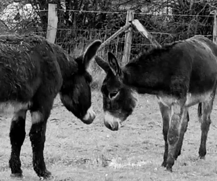 Gîte pour 2 personnes, avec vue et jardin à Thieffrain