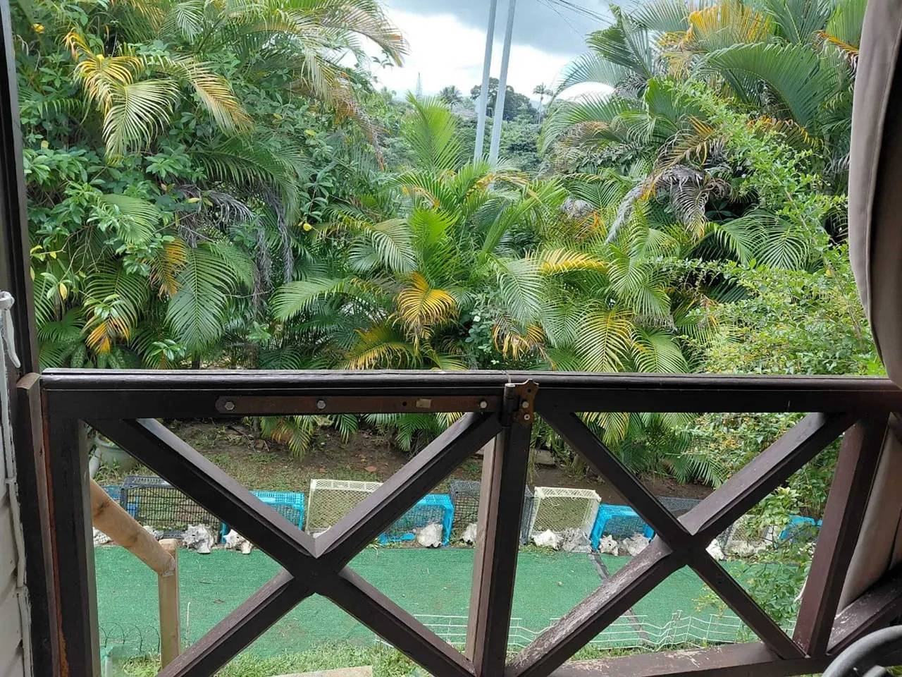 Estudio entero, Acogedor estudio con terraza en Petit-Bourg de 30 m² in Petit-Bourg, Guadalupe