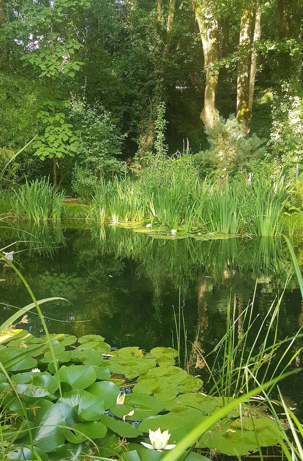 4-Bett-Ferienhaus Dusche/Wc, 2 Schlafräume in Hetzerath, Bernkastel-Kues & Umgebung