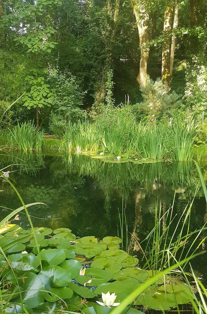Ferienhaus für 4 Personen, mit Garten an der Mosel - 2