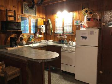 Log Cabin for 4 Guests in New Braunfels, Guadalupe County, Picture 2