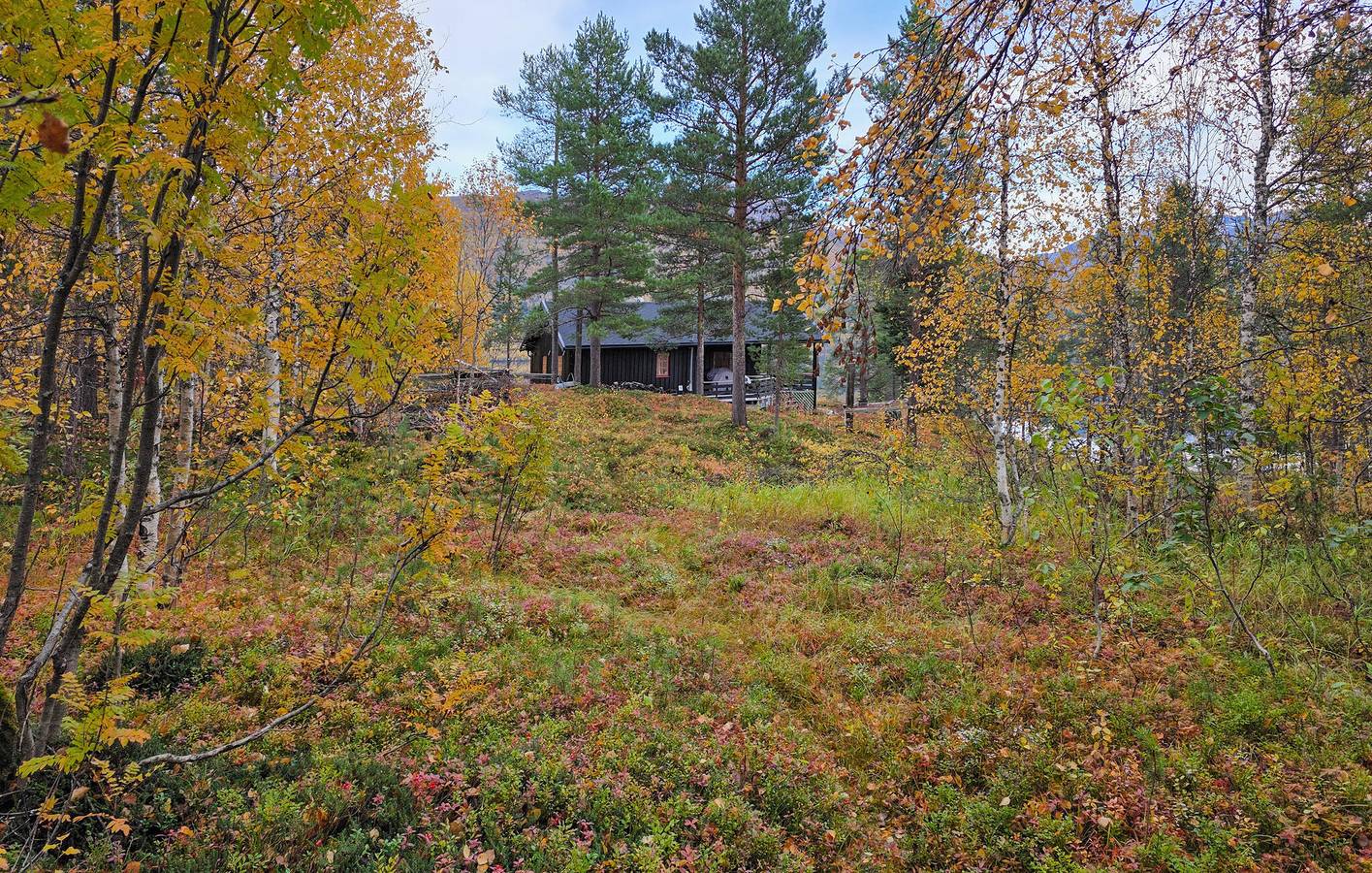 Holiday home for 5 people with terrace in Balsfjord