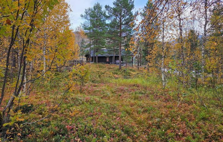 Ferienhaus für 5 Personen, mit Garten und Terrasse in Troms - 4