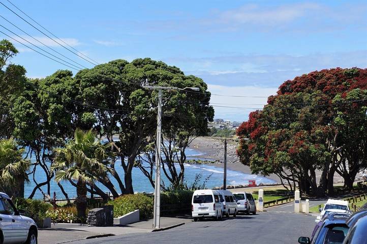 Holiday home for 10 people, with garden in New Plymouth