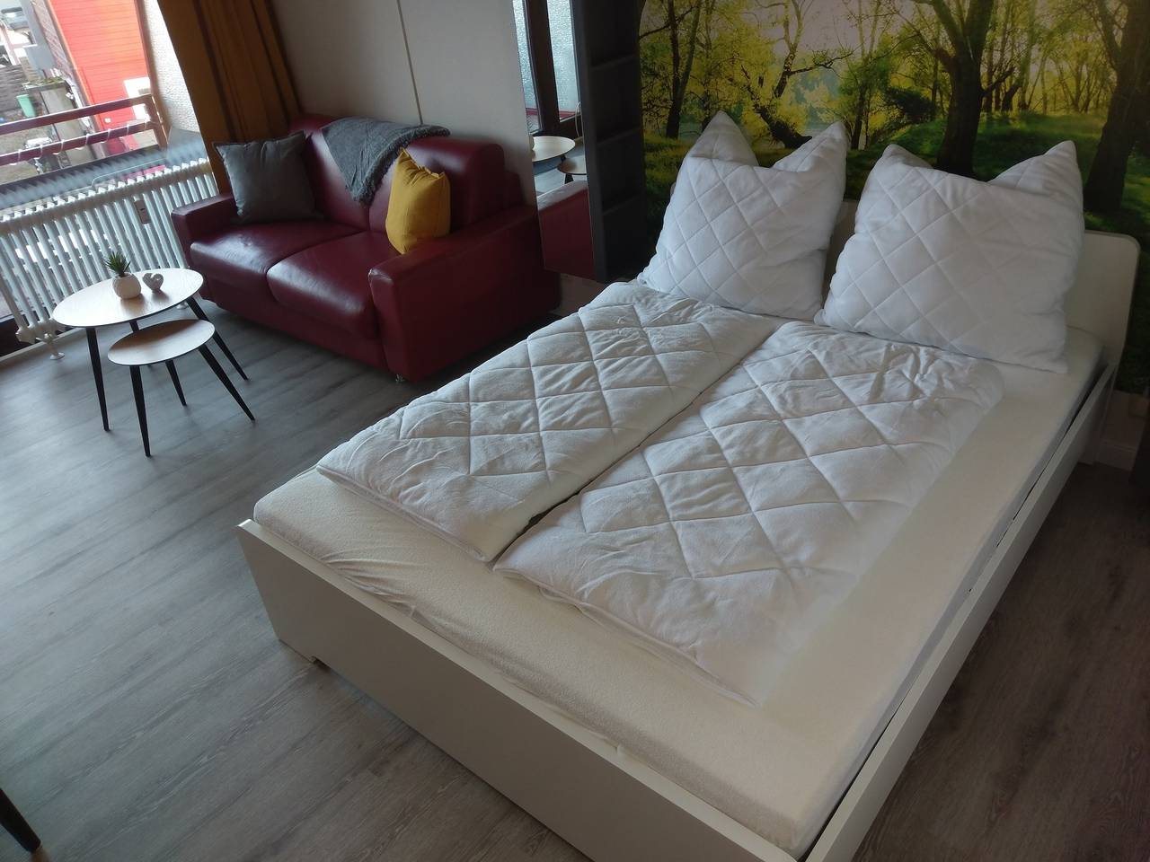 Ganze Ferienwohnung, Berg Harmonie (Haus 4 Jahreszeiten) in Hahnenklee, Goslar