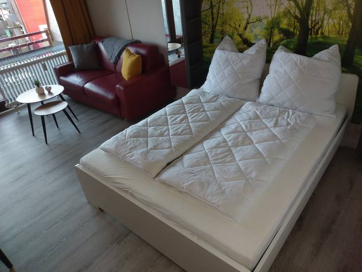 Ferienwohnung für 4 Personen, mit Balkon, mit Haustier in Goslar - 2