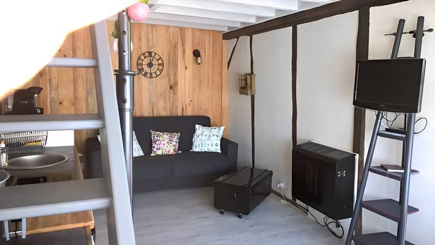 Gîte pour 2 personnes, avec jardin et terrasse ainsi que jacuzzi et sauna, animaux acceptés dans Loiret - 3