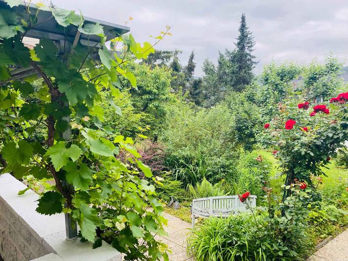 Ferienwohnung für 3 Personen, mit Balkon und Garten in Kamp-Bornhofen - 3