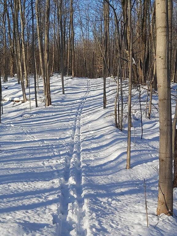 Serene Westfield Tiny Cabin in Huronsee (Kanada)