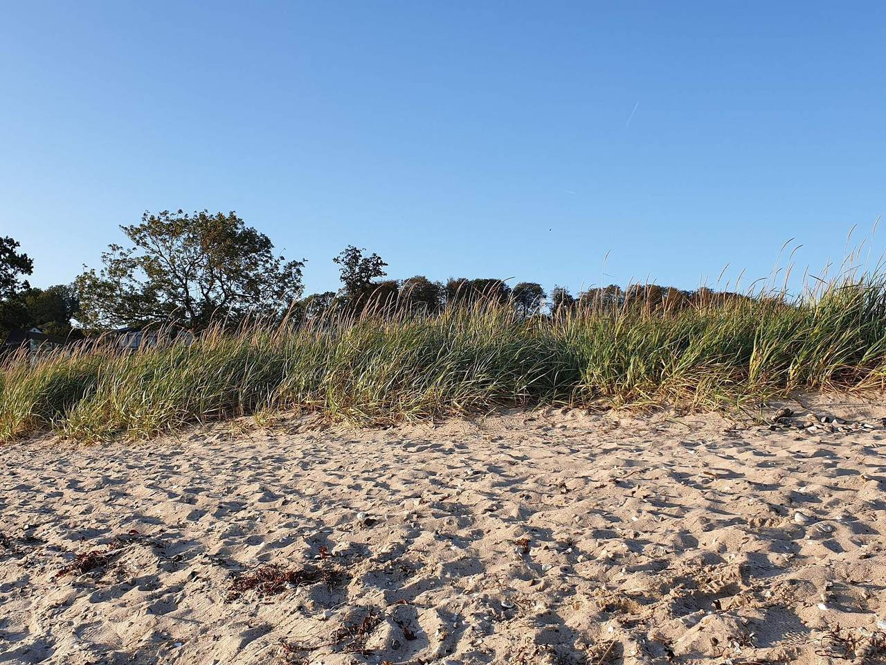 4 Personen Ferienhaus in Aabenraa-By Traum in Skarrev, Apenrade