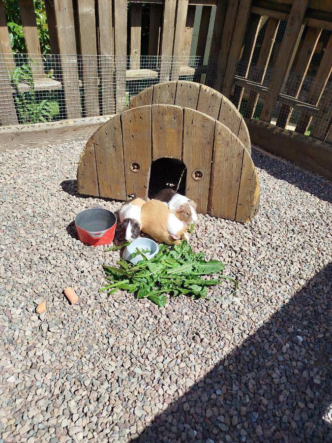 Gîte pour 2 personnes, avec piscine et jacuzzi dans Saint-Mards-en-Othe - 4