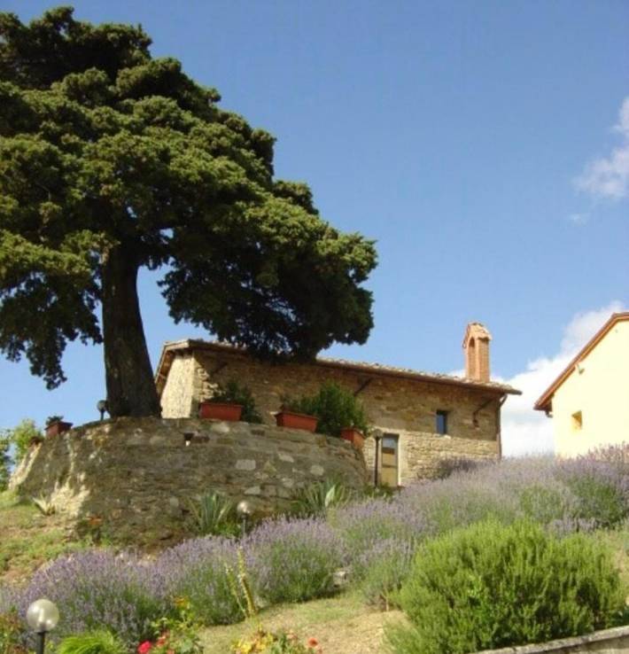 Agriturismo per 4 persone, con terrazza e piscina nonché panorama e giardino, con animali domestici in Barberino di Mugello