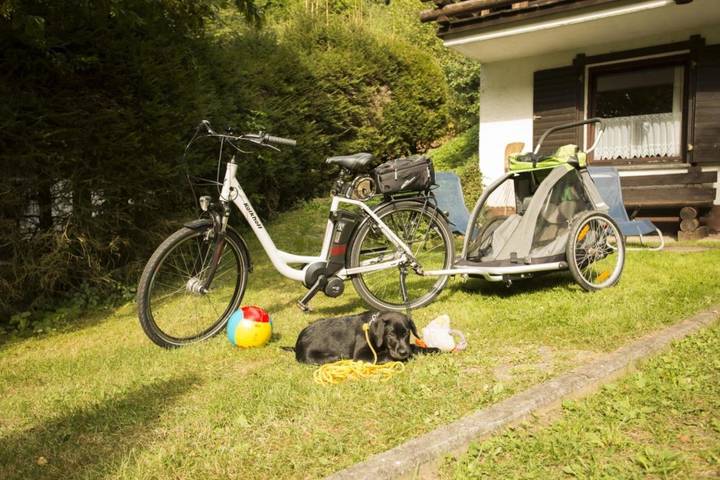Ferienanlage für 6 Personen, mit Garten, mit Haustier in der Eifel - 3