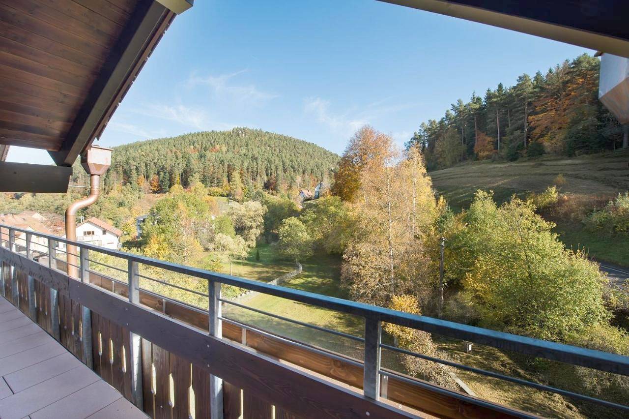 Single Room in Enzklösterle, Nordschwarzwald